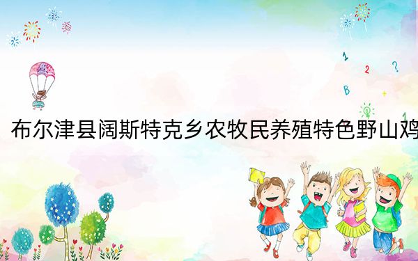 布尔津县阔斯特克乡农牧民养殖特色野山鸡