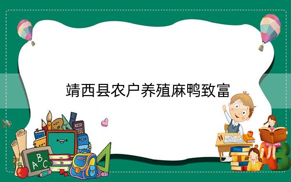 靖西县农户养殖麻鸭致富