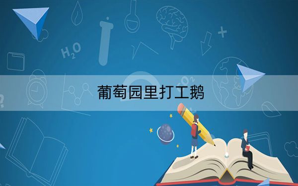 葡萄园里打工鹅