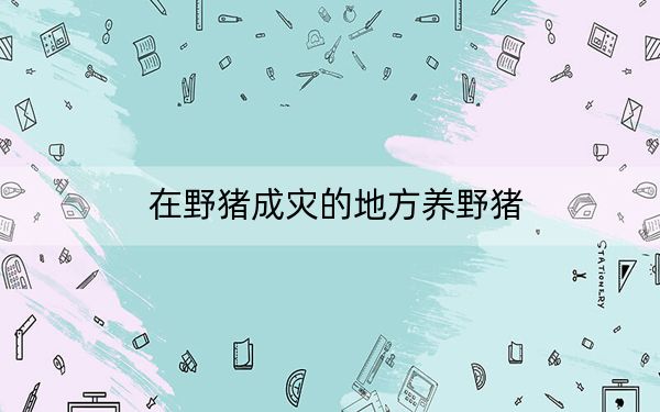 在野猪成灾的地方养野猪