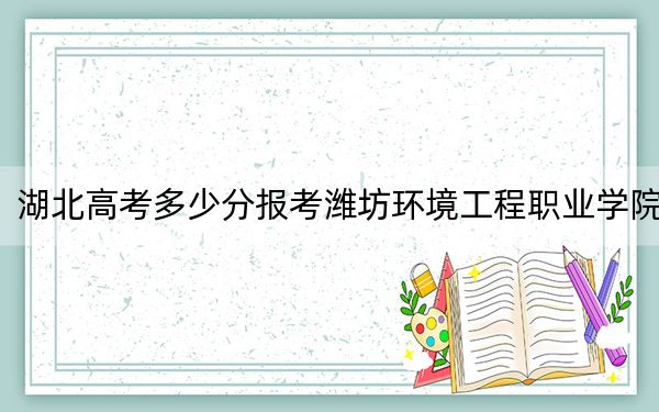湖北高考多少分报考潍坊环境工程职业学院？2024年历史类200分 物理类最低309分