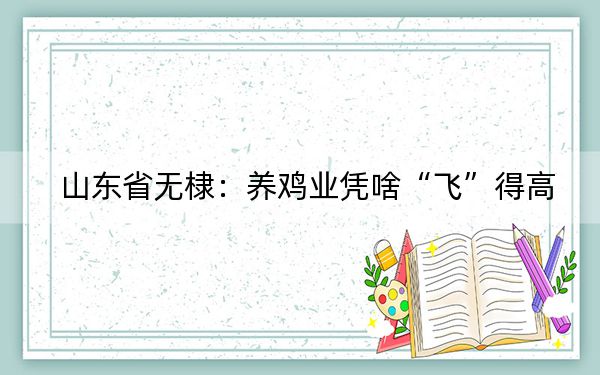 山东省无棣：养鸡业凭啥“飞”得高