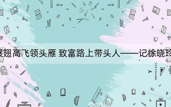 展翅高飞领头雁 致富路上带头人——记徐晓玲的