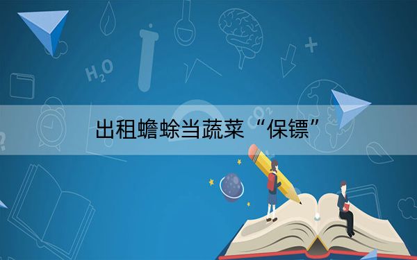 出租蟾蜍当蔬菜“保镖”