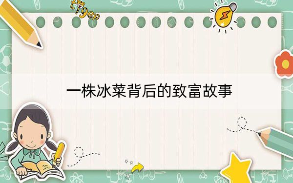 一株冰菜背后的致富故事