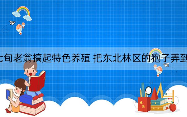 七旬老翁搞起特色养殖 把东北林区的狍子弄到寿