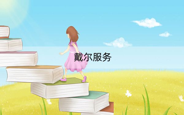 戴尔服务