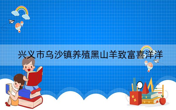 兴义市乌沙镇养殖黑山羊致富喜洋洋