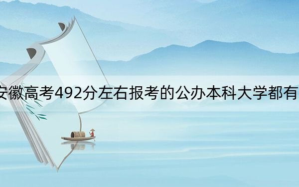 安徽高考492分左右报考的公办本科大学都有哪些？（供2025届高三考生参考）