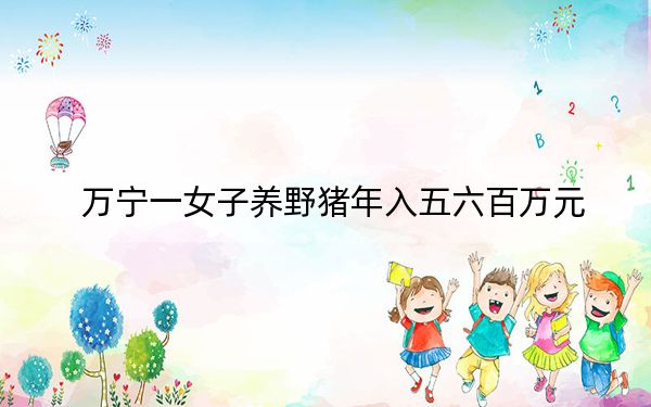 万宁一女子养野猪年入五六百万元