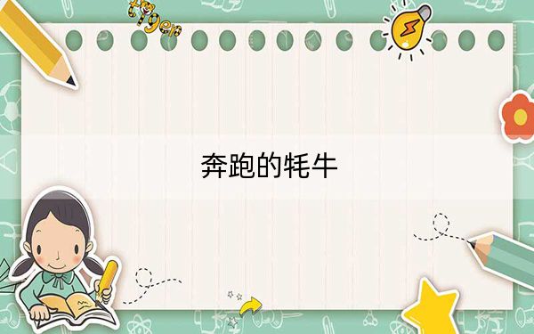 奔跑的牦牛