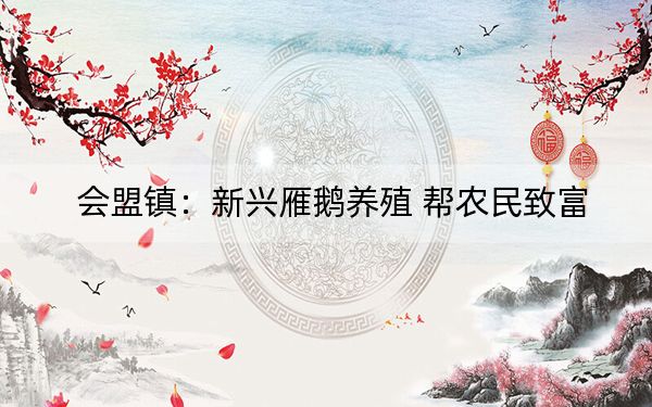 会盟镇：新兴雁鹅养殖 帮农民致富